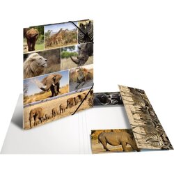 HERMA 19222 HERMA Sammelmappe A3 Afrika Tiere