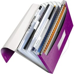 Leitz Fächermappe WOW