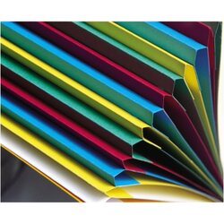 Exacompta Ordnungsmappe Harmonika® 12 Fächer