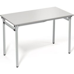 Neutralware 810010880 Klapptisch Vierfuß 120x60 lgr lgr