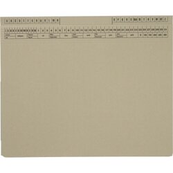 SoldanPlus 1417802 Hängehefter CLASSIC gr 