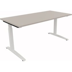 Neutralware 810013081 Schreibtisch 1600x800x650-850 Kufe Quadrat ws/Lichtgrau