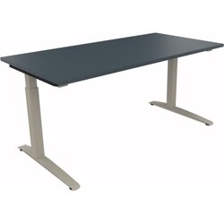 Neutralware 810012982 Schreibtisch 1600x800x650-850 Kufe Quadrat si/Lavagrau
