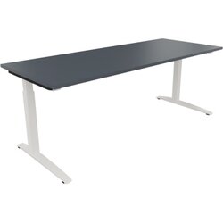 Neutralware 810028282 Schreibtisch 2000x800x650-850 Kufe Quadrat ws/Lavagrau