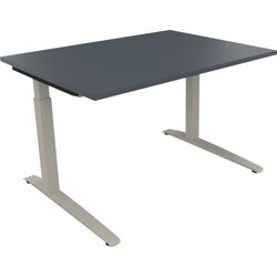Neutralware 810022782 Schreibtisch 1200x900x650-850 Kufe Quadrat si/Lavagrau