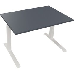 Neutralware 810043582 Schreibtisch 1200x800x645-1275 Kufe Quadrat ws/Lavagrau