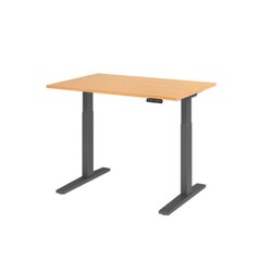 Hammerbacher VXMKA12/6/G Schreibt. el.120x80cm graphit/buche