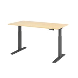 Hammerbacher VXMKA16/3/G Schreibt. el.160x80cm graphit/ahorn