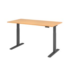 Hammerbacher VXMKA16/6/G Schreibt. el.160x80cm graphit/buche