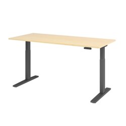 Hammerbacher VXMKA19/3/G Schreibt. el.180x80cm graphit/ahorn