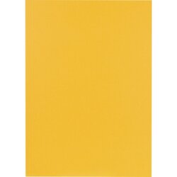Falken 80004146 Aktendeckel 23x31,8cm 250g ge 100 St./Pack.