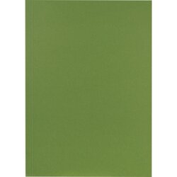 Falken 80001167 Aktendeckel 23x31,8cm 250g gn 100 St./Pack.