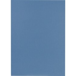 Falken 80004120 Aktendeckel 23x31,8cm 250g bl 100 St./Pack.