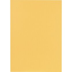 Falken 80001233 Aktendeckel 23x31,8cm 250g ch 100 St./Pack.