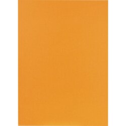 Falken 80001282 Aktendeckel 23x31,8cm 250g or 100 St./Pack.