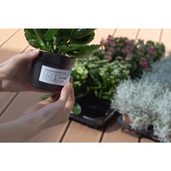 HERMA Folienetikett SPECIAL 105 x 148 mm (B x H)