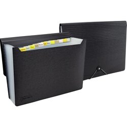 RAPESCO 1638 Fächermappe Germ-Savvy A4 