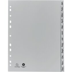 Exacompta 1812B Register DIN 4A 12tlg Jan-Dez PP grau