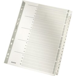 Leitz 43260000 Register DIN A4 1-20 volle Höhe 160g Karton grau
