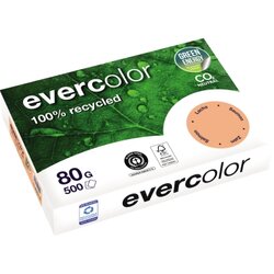 Clairefontaine 40015C Kopierpapier A4 80g RC lachs 500Bl.