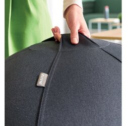 Leitz Sitzball Ergo Cosy