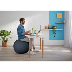 Leitz Sitzball Ergo Cosy