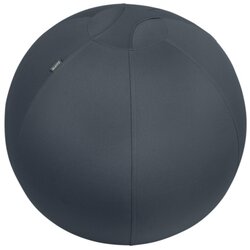 Leitz 52790089 Sitzball Ergo Cosy grau 