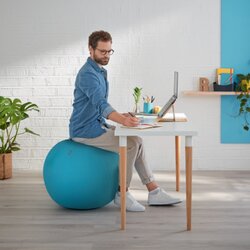 Leitz Sitzball Ergo Cosy