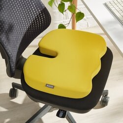 Leitz Sitzkissen Ergo Cosy