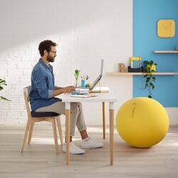 Leitz Sitzkissen Ergo Cosy
