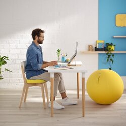 Leitz Sitzkissen Ergo Cosy