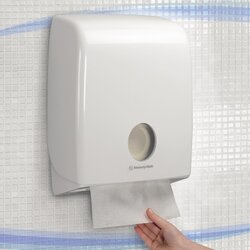 Aquarius Handtuchspender Standard