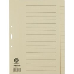 Esselte 621006 Register blanko DIN A4 20Bl. Papier chamois