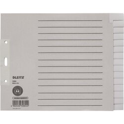 Leitz 12240085 Register blanko DIN A4 15teilig Papier grau