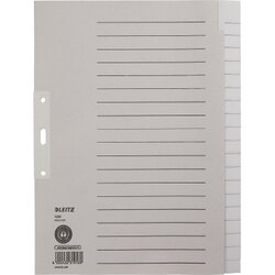 Leitz 12200085 Register blanko DIN A4 20teilig Papier grau