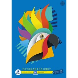 Edition Dürer 053635000 Edition Dürer Fotokarton DIN A3 300g 10Blatt