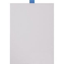MAUL 6638005 Ersatzfolie A0 10St 
