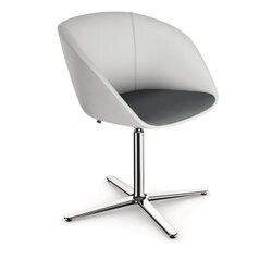 Sedus uc-802/001 Konferenzstuhl on spot Cosy Fußkreuz stone grey