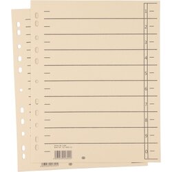 Soennecken 1458 Trennblatt oeco A4 230g Karton ch 100St.