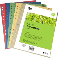 Soennecken 1530 Trennblatt oeco A4 230g sortiert 50St.