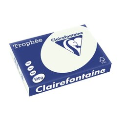 Clairefontaine 1246C Kopierpapier A4 120g lindgrün 250Bl.