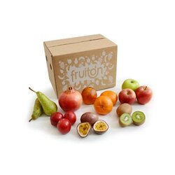 Neutralware 492138800 Fitness Box M 