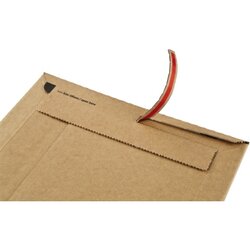 ColomPac® Versandtasche Rigid Plus 150 x 250 x -50 mm (B x H x T) 100 St./Pack.