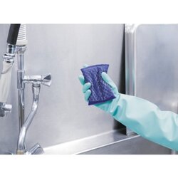 Spontex Reinigungsschwamm Superinox Pad
