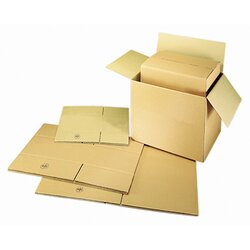 Neutralware 161016100 Faltkarton 61x38x28cm  12kg br