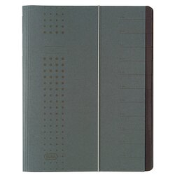 ELBA 400001032 Ordnungsmappe chic DIN A4 12Fächer Karton anthrazit