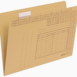 Leitz 24350000 Einstellmappe  A4 250g Natronbr 100St
