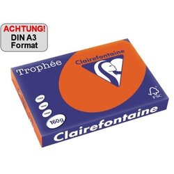 Clairefontaine 1031C Kopierpapier A3 160g ziegelrot 250Bl.