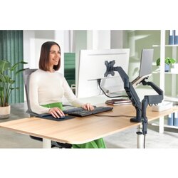Leitz Monitorschwenkarm Ergo