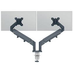 Leitz Monitorschwenkarm Ergo 2 Arme